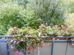 Autumn2